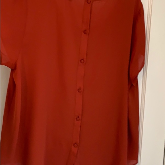 Torrid Burnt Orange Short Sleeve Blouse - 3X - Picture 5 of 6